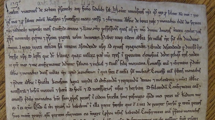 Le manuscrit ms 408, l'un des plus grands mystères en cryptographie